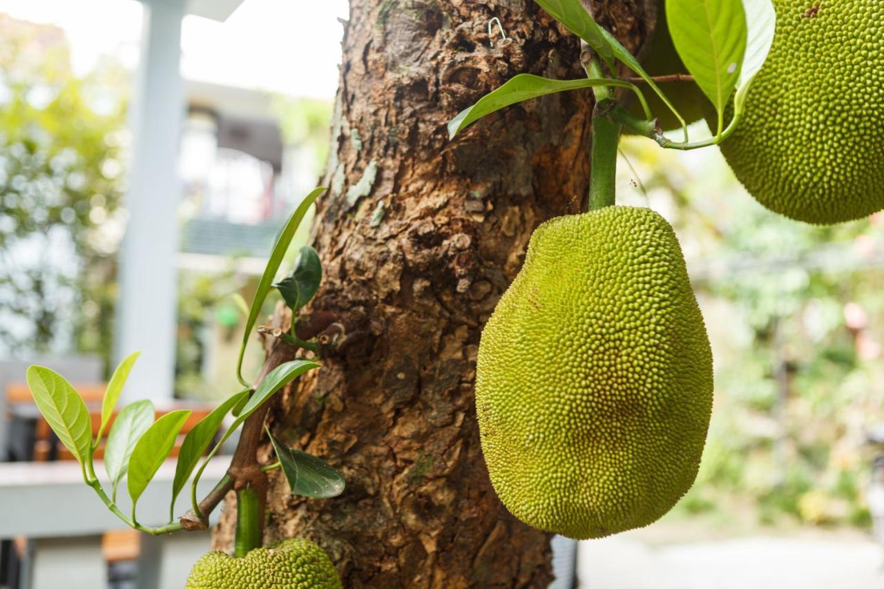 Khanh's Home Huế Ngoại thất bức ảnh