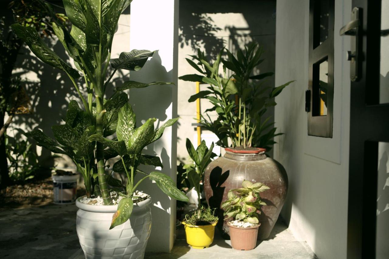 Khanh's Home Huế Ngoại thất bức ảnh